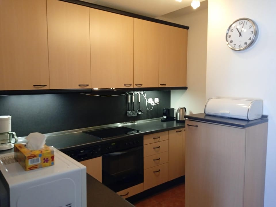 apartement lipno nad vltavou pro 4 až 6 osob Apartment in Lipno nad Vltavou