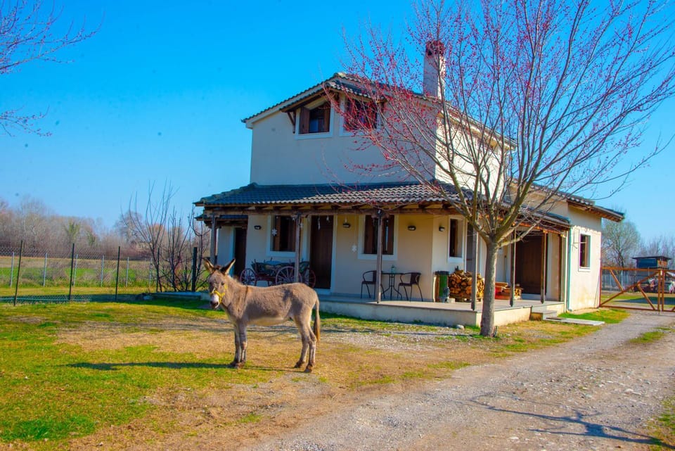 Property building, Animals