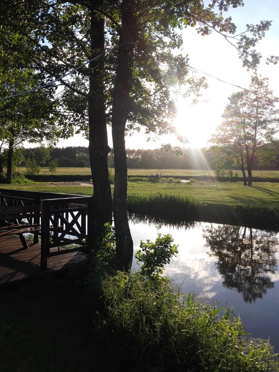 Natural landscape, River view