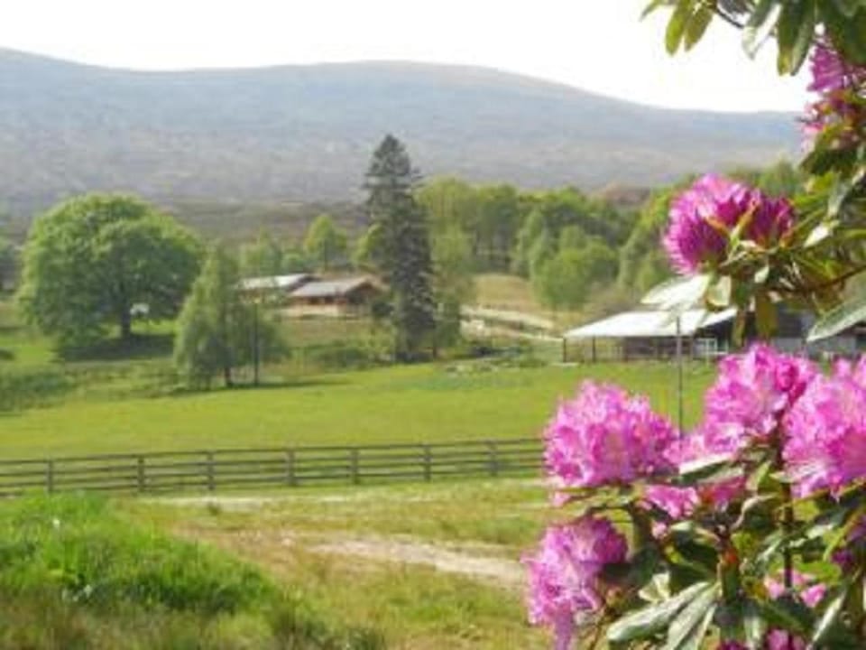 Chalet Rus Chalet in Scotland