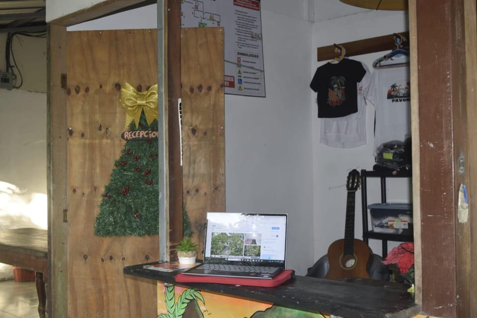 Cabinas carol Cabin in Puntarenas Province
