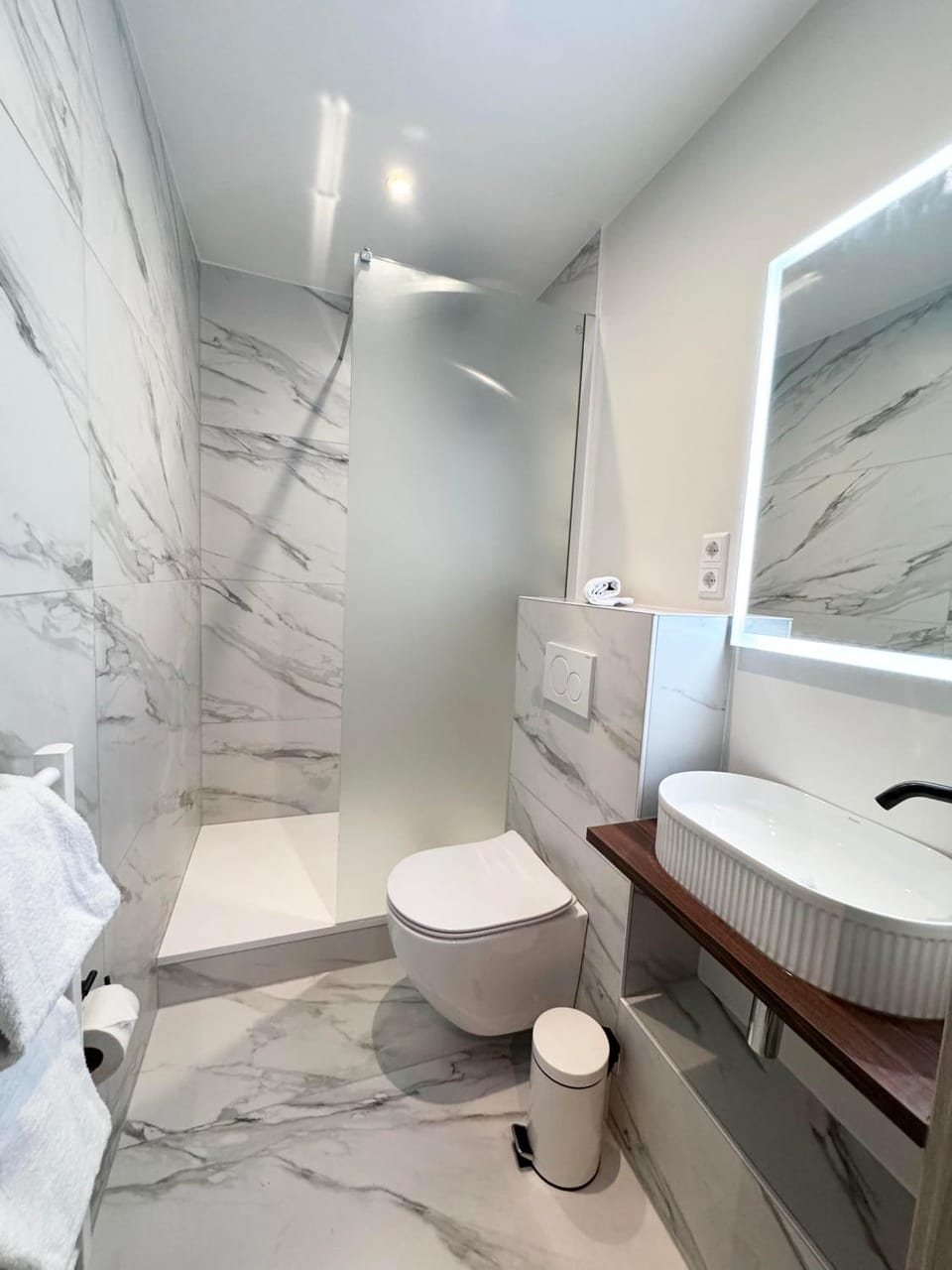 Shower, Toilet, towels