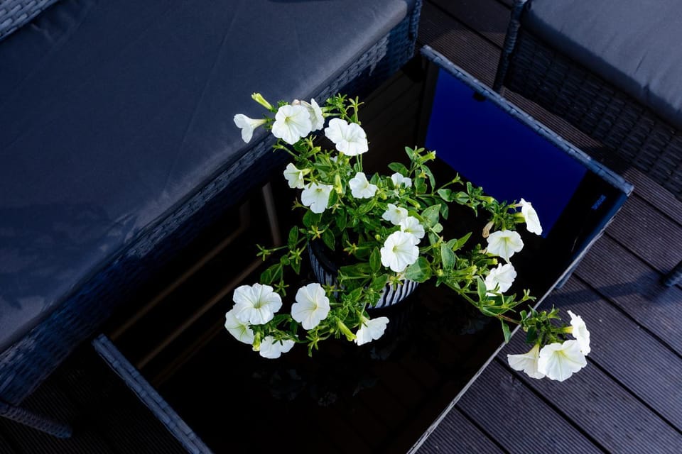 Domki letniskowe Modrzew Nature lodge in West Pomeranian Voivodeship, Poland