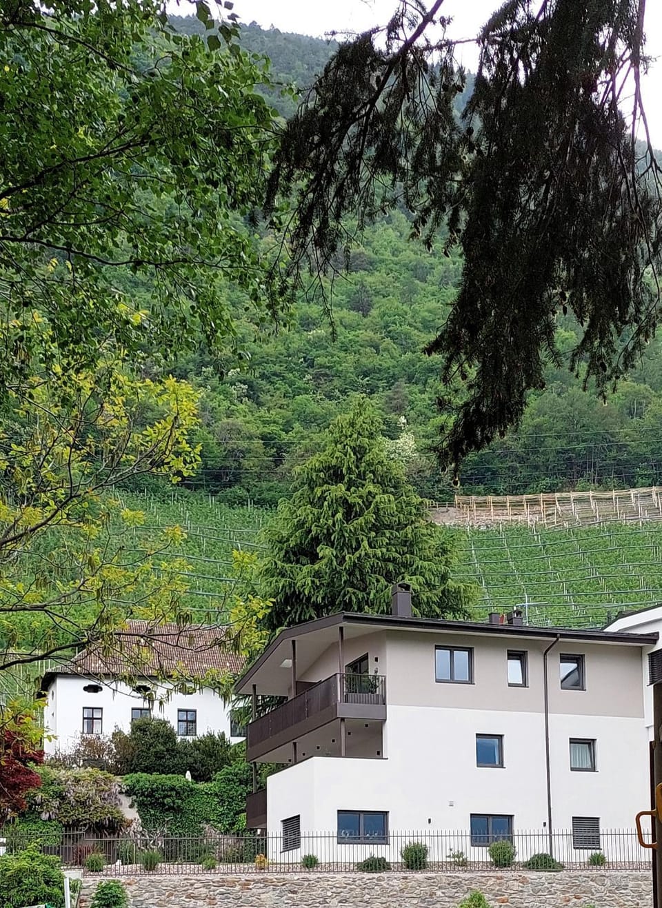 Property building, Hiking, Area and facilities