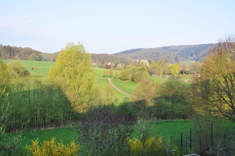 Natural landscape