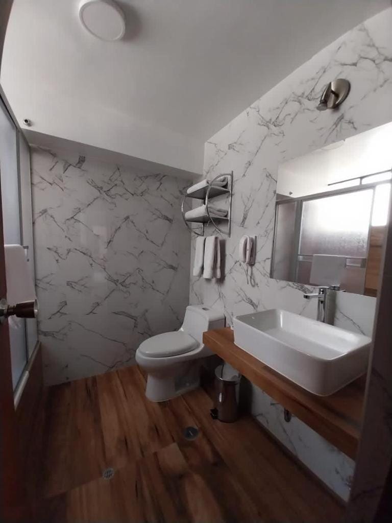 Shower, Toilet, Bathroom, Bath, towels