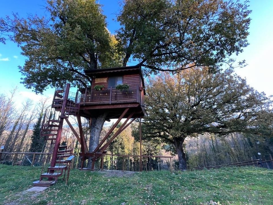 Casa sull'albero Bocchineri House in Calabria