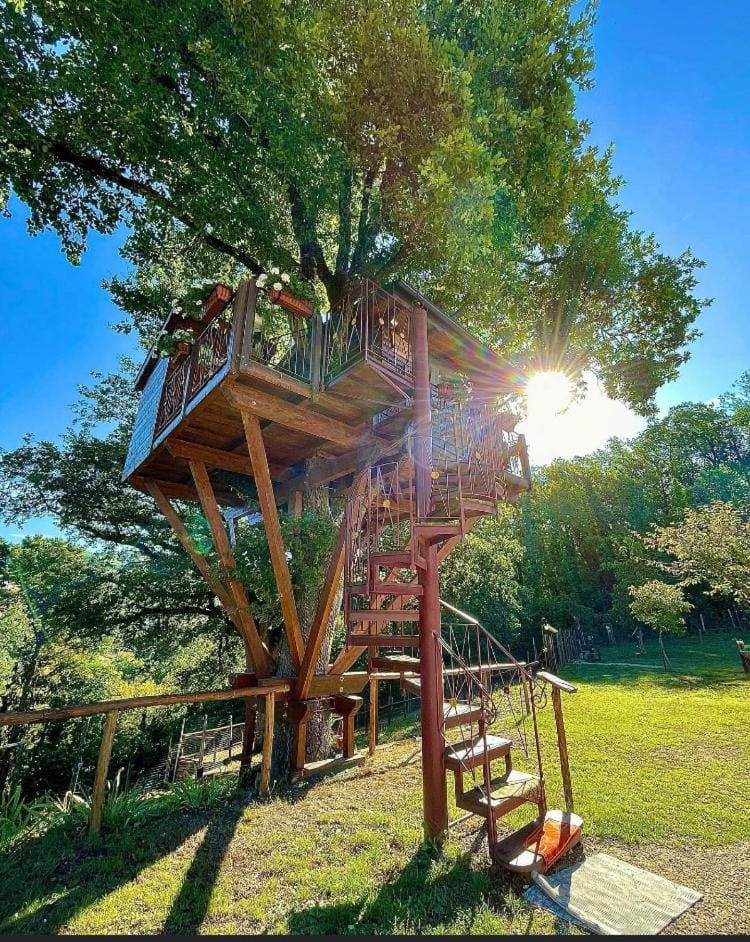 Casa sull'albero Bocchineri House in Calabria
