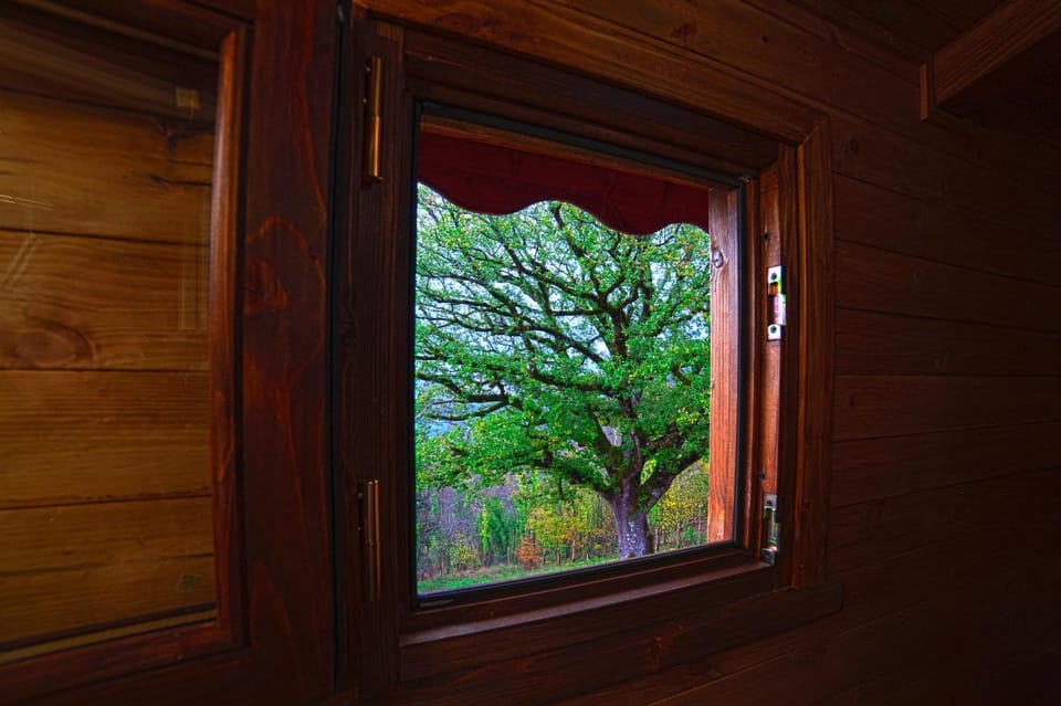 Bathroom, Landmark view
