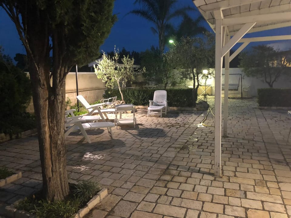 Patio, Night, Garden, Garden view