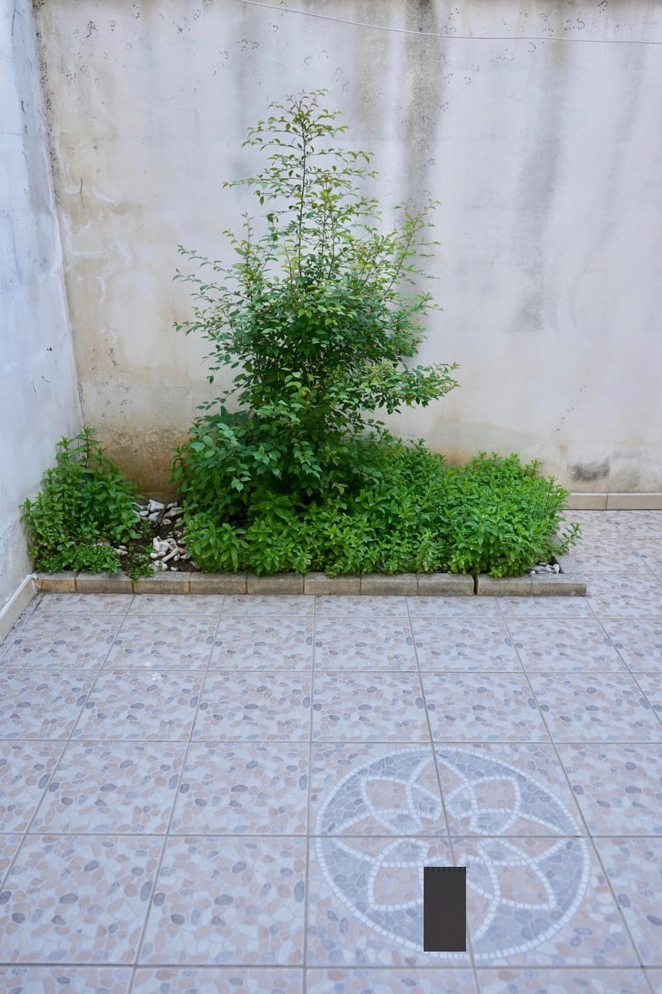 Garden, Balcony/Terrace