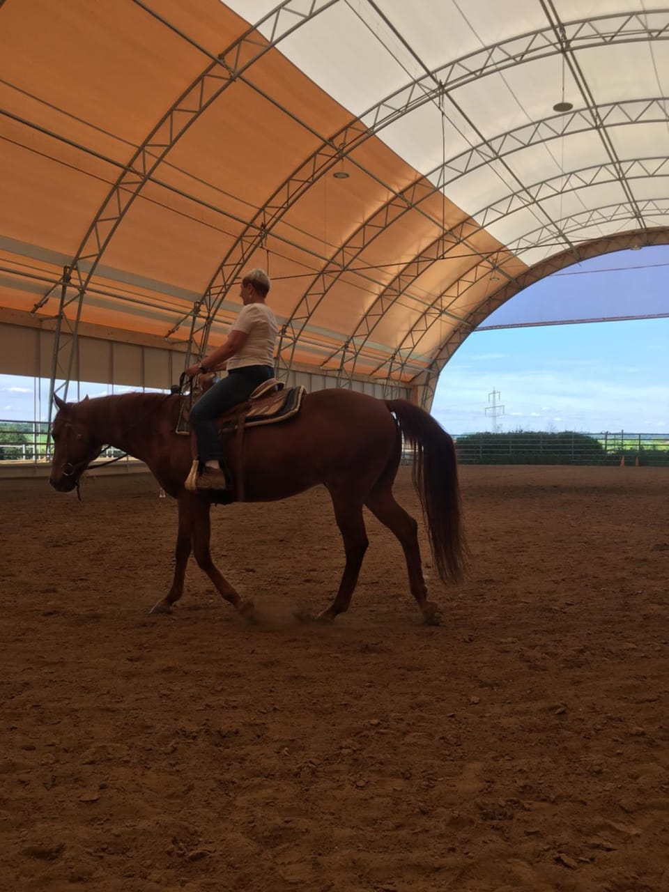 Riedwiesen Apartment in Heilbronn