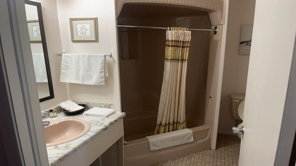 Shower, Toilet, Bathroom, Bath, towels