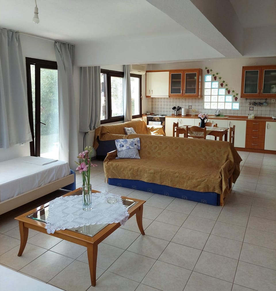 Dora's House comfortable apartment with a yard and view House in Halkidiki