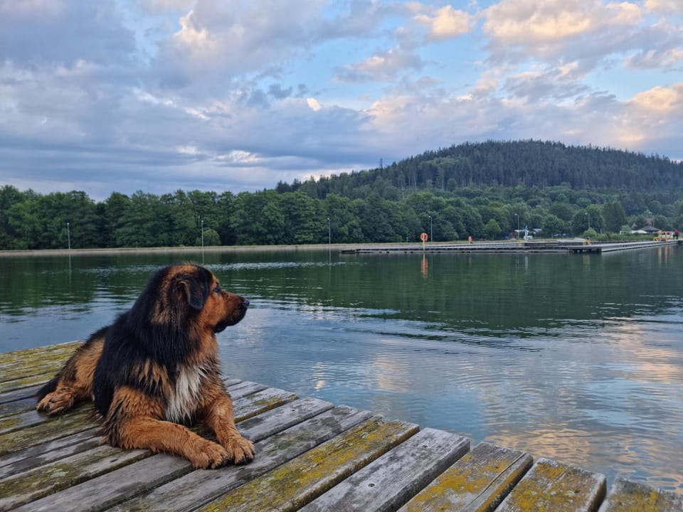 Off site, Natural landscape, Beach, Hiking, Pets
