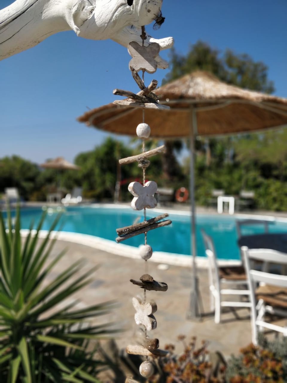 Decorative detail, Swimming pool