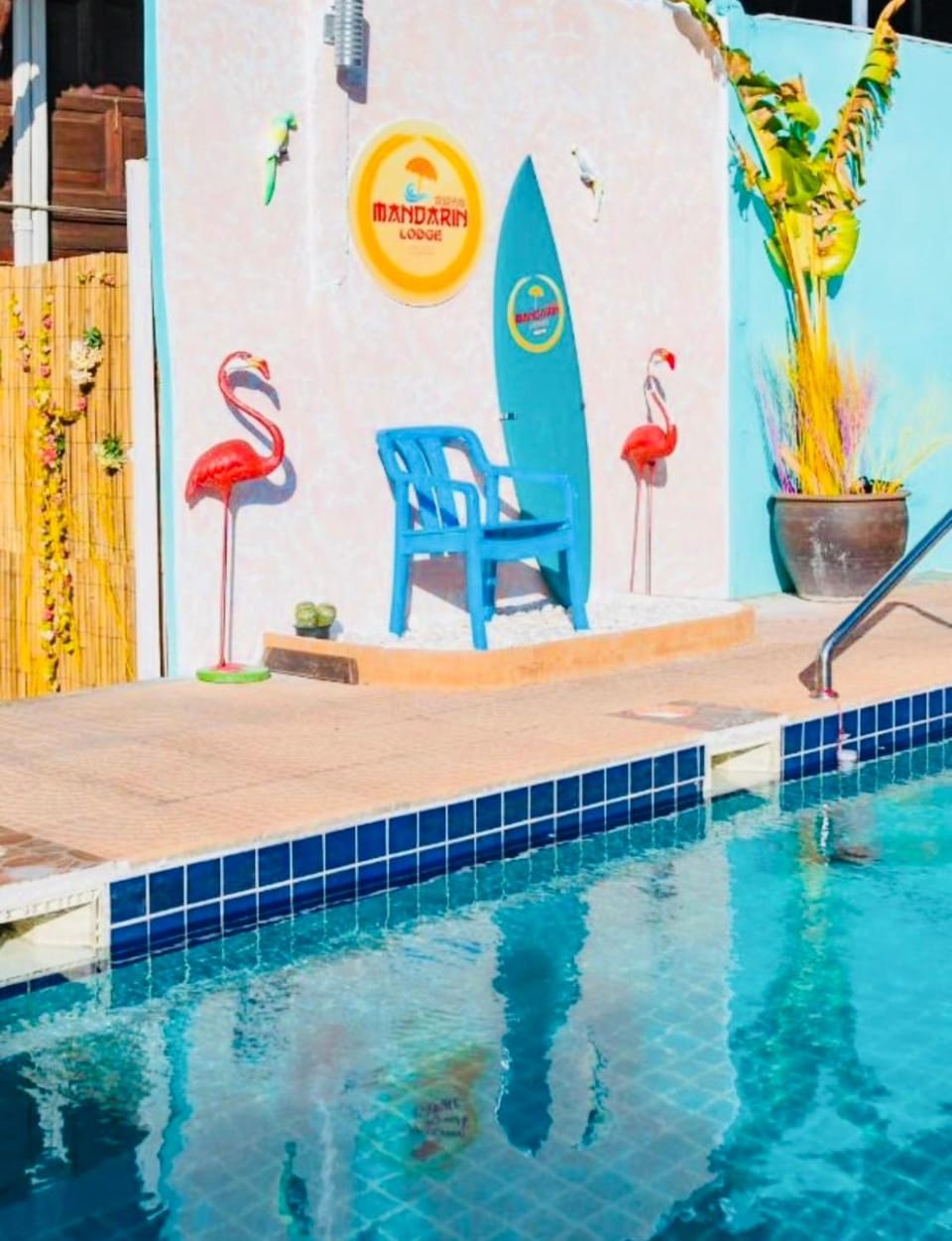 Swimming pool, Swimming pool