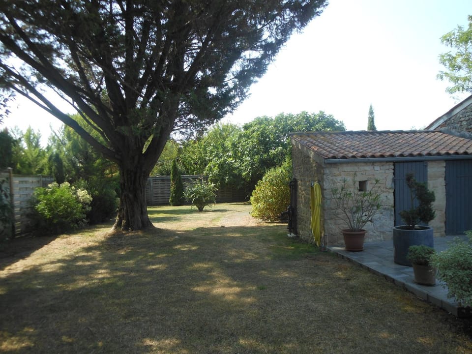 Property building, Garden