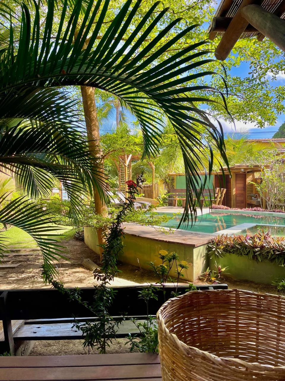 Spring, Day, Natural landscape, Garden, Garden view, Swimming pool