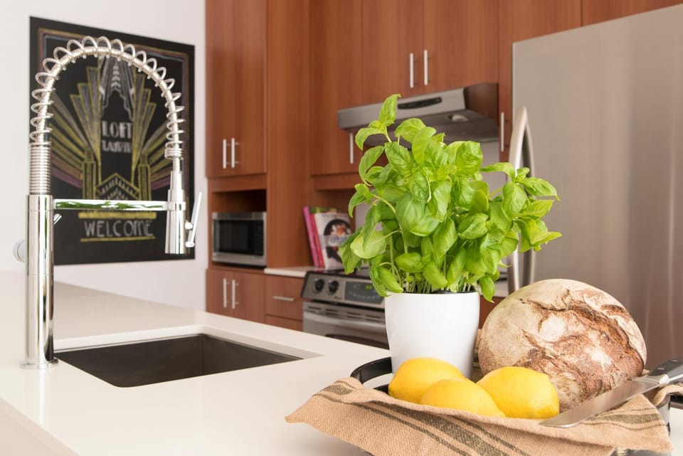 Urban nest - Le Plateau - Av. Laurier Est Apartment in Laval