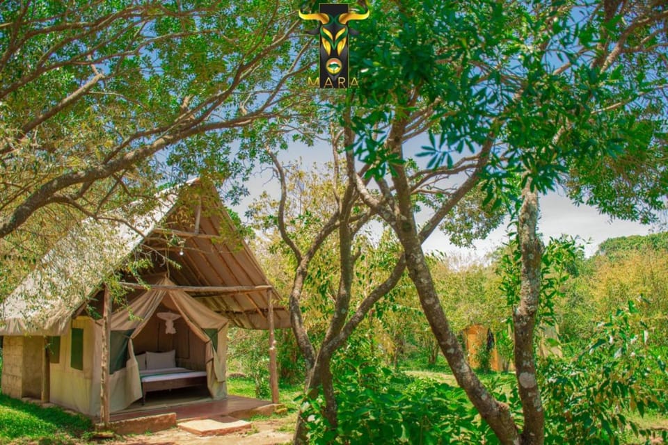 Mara Olodare Luxury tent in Kenya