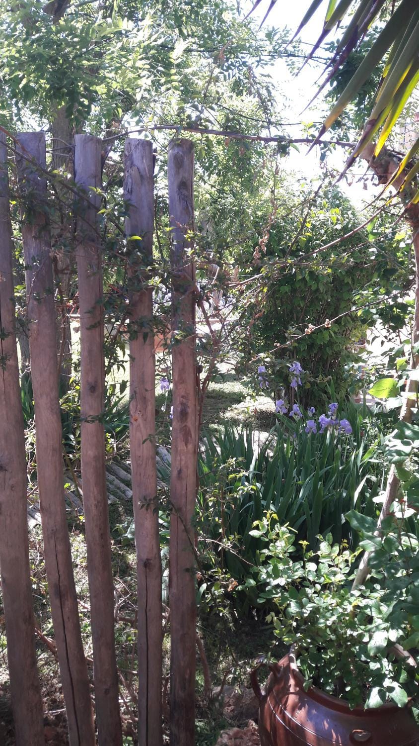 Studio dans jardin Apartment in Occitanie