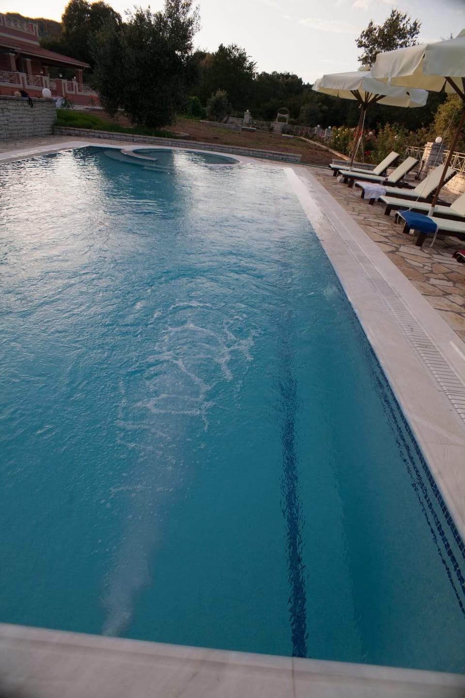 Garden, Swimming pool, Swimming pool