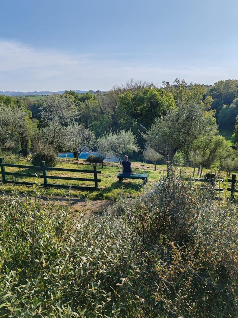 Natural landscape, Garden view