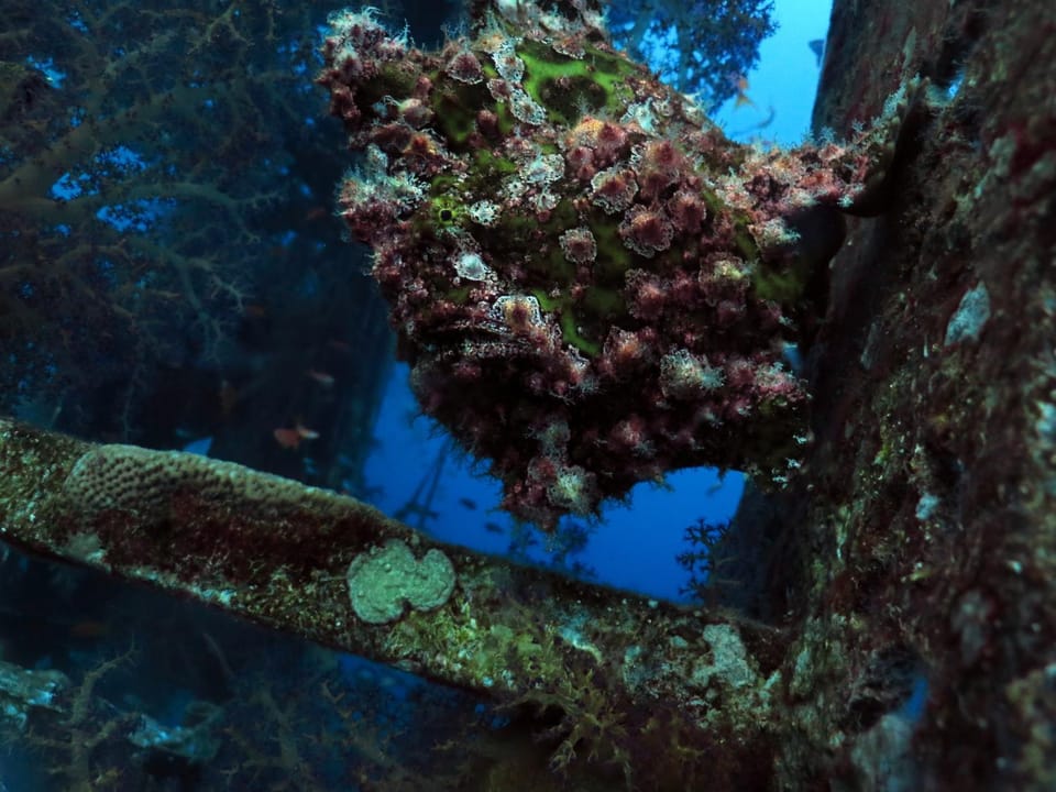 Diving