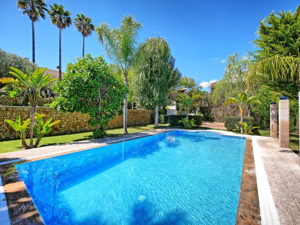 Garden, Garden view, Pool view