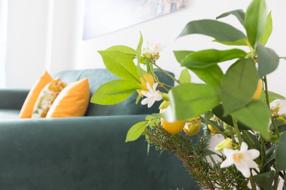 Living room, Decorative detail