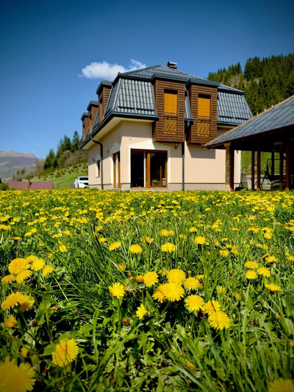 Property building, Spring, Day, Natural landscape, Garden, Garden view, Mountain view