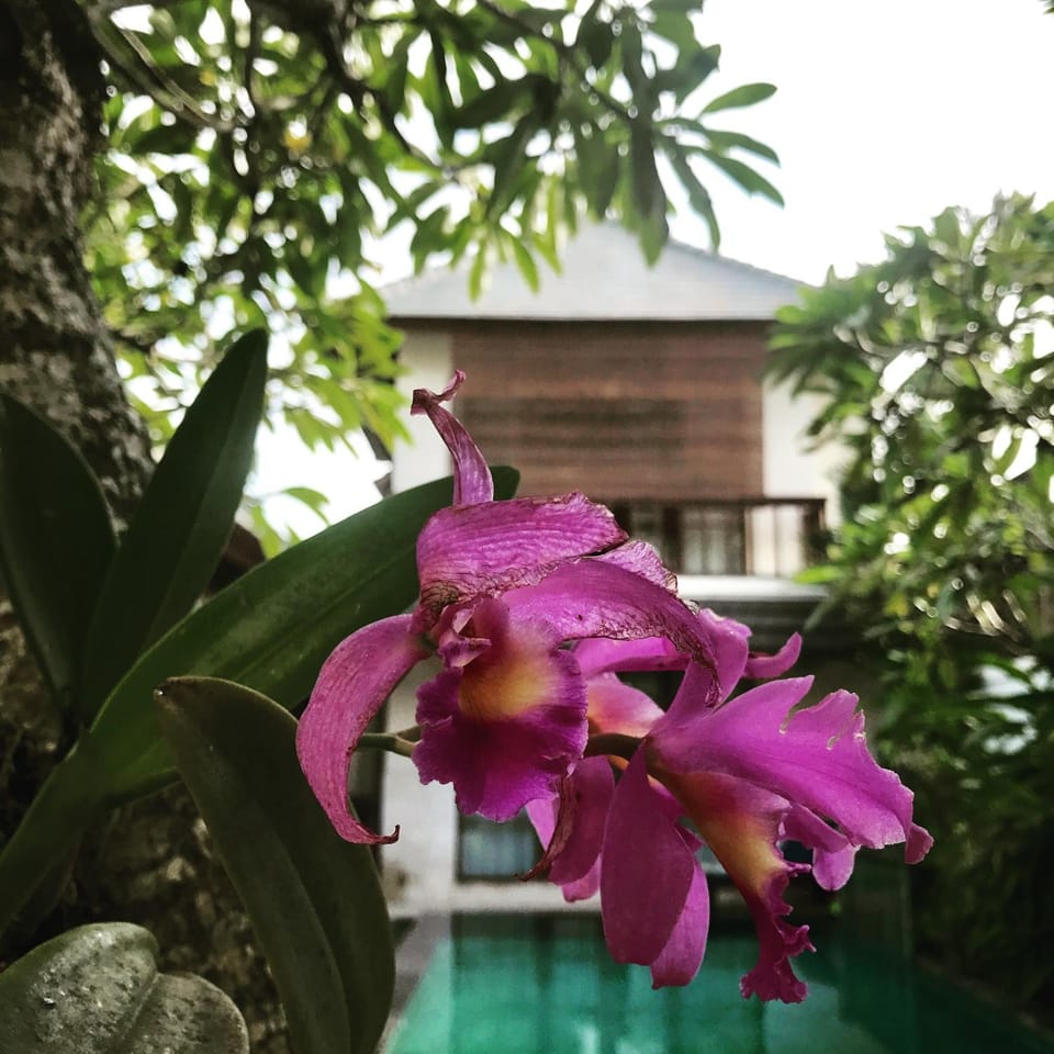 On site, Pool view