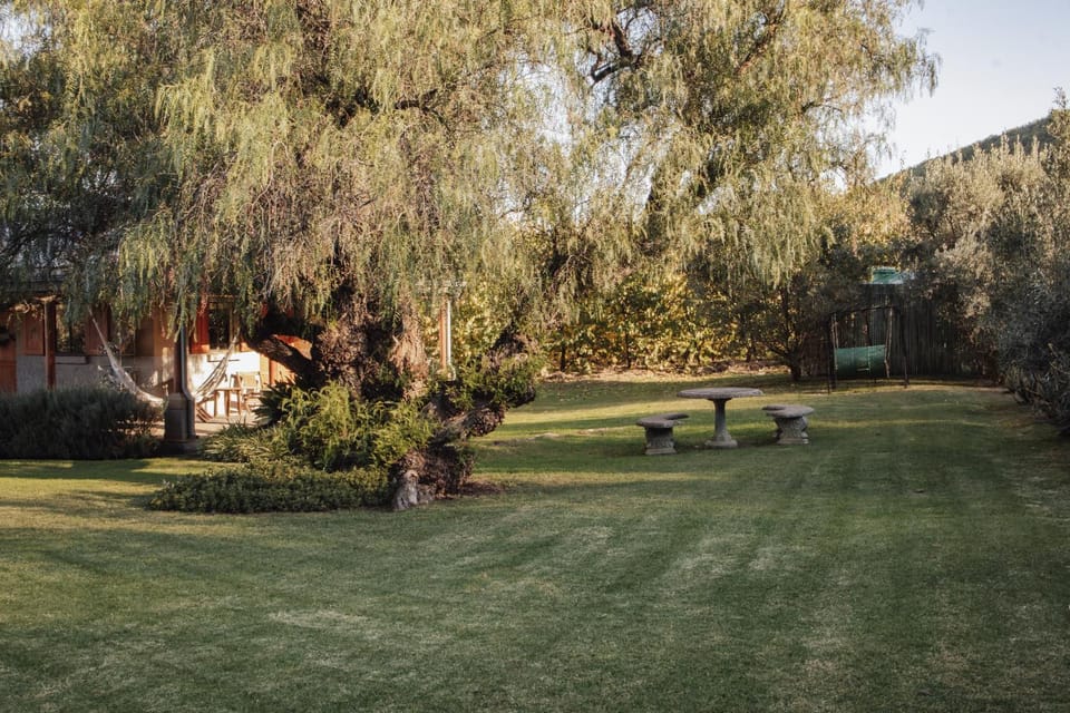 Natural landscape, BBQ facilities, Children play ground, Garden, Balcony/Terrace, children, children, young children, older children