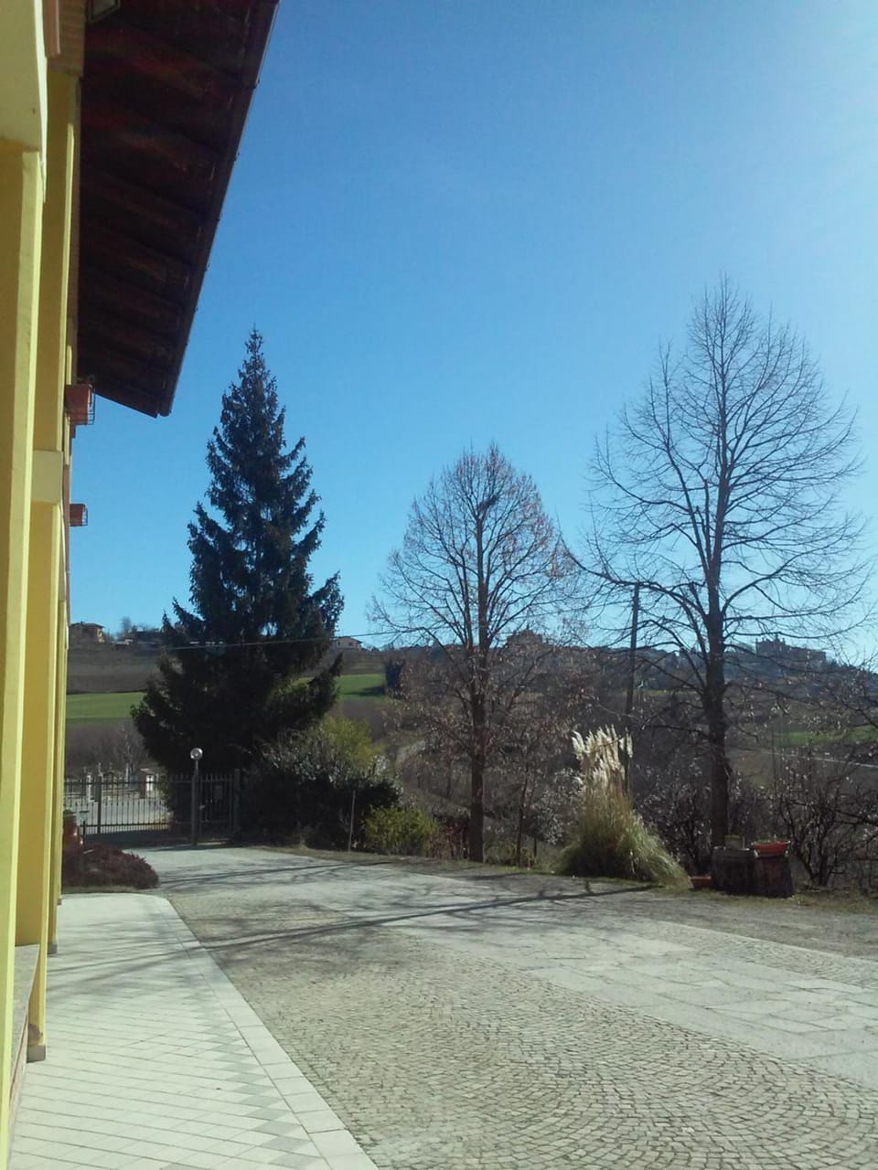 Natural landscape