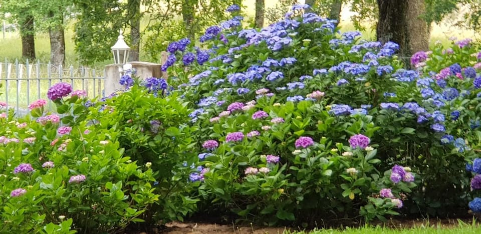 Garden, Other