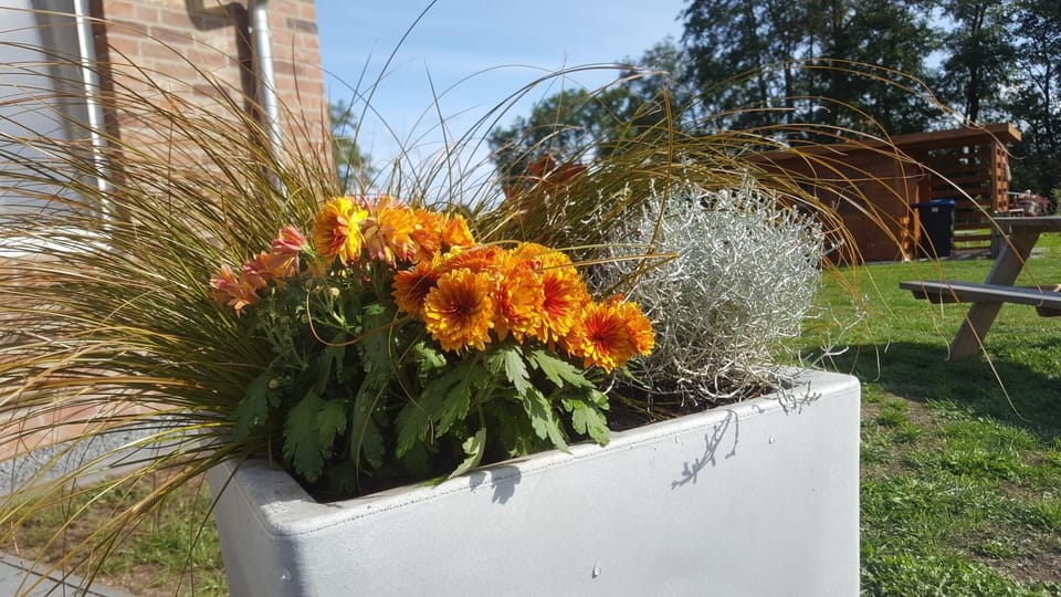 Balcony/Terrace, Autumn