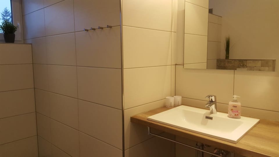 Bathroom, Photo of the whole room, Decorative detail