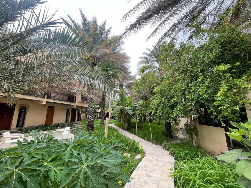 Date Palm Inn Farm Stay in Oman