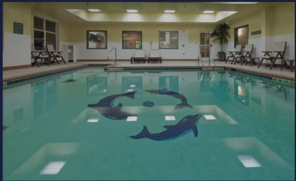 Pool view, Swimming pool