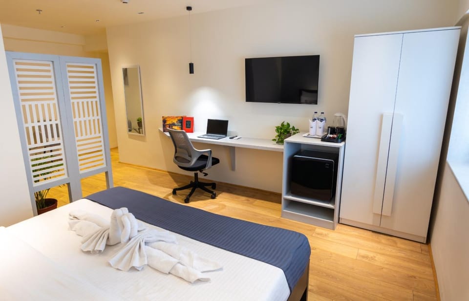 TV and multimedia, minibar, wardrobe