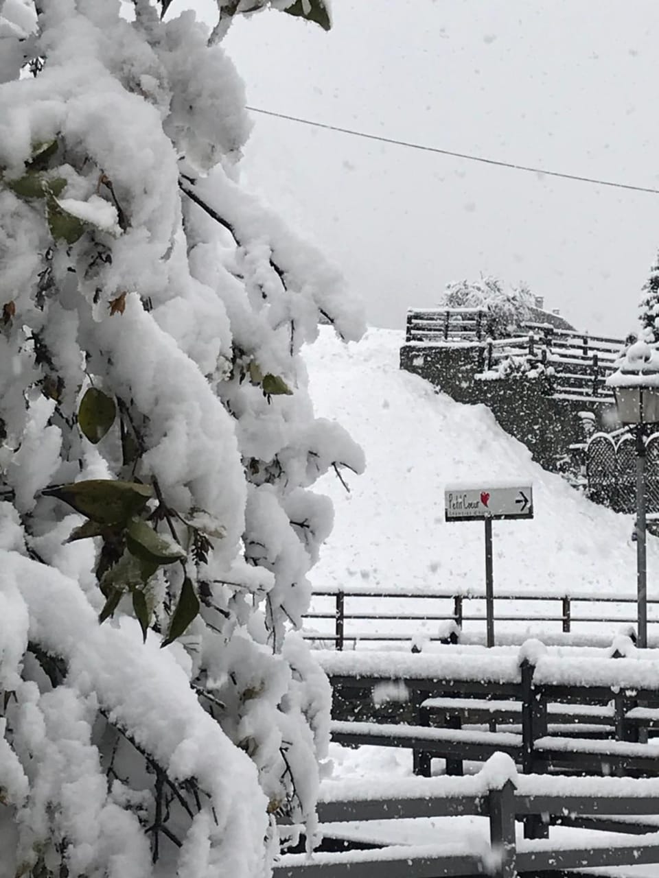 Affittacamere Petit Coeur Bed and Breakfast in Champoluc