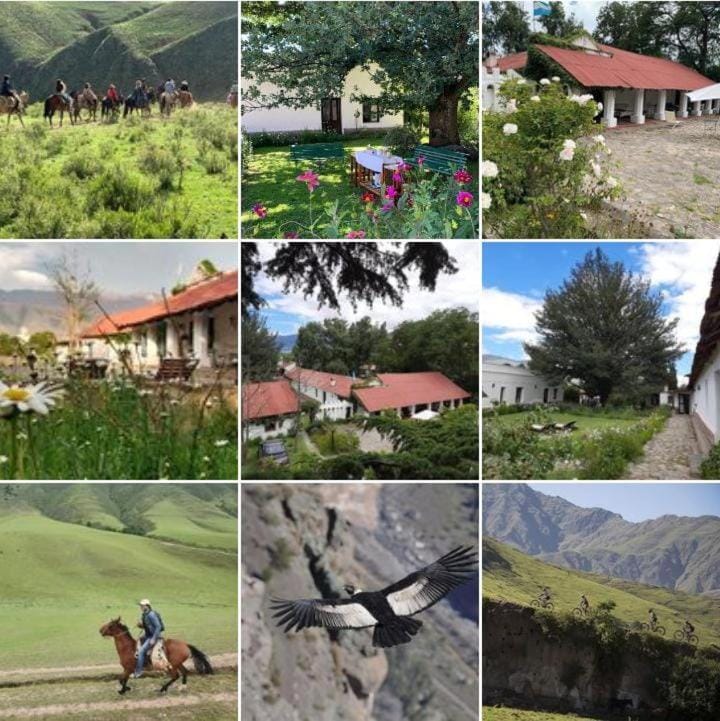 Estancia Las Tacanas Country House in Tafí del Valle