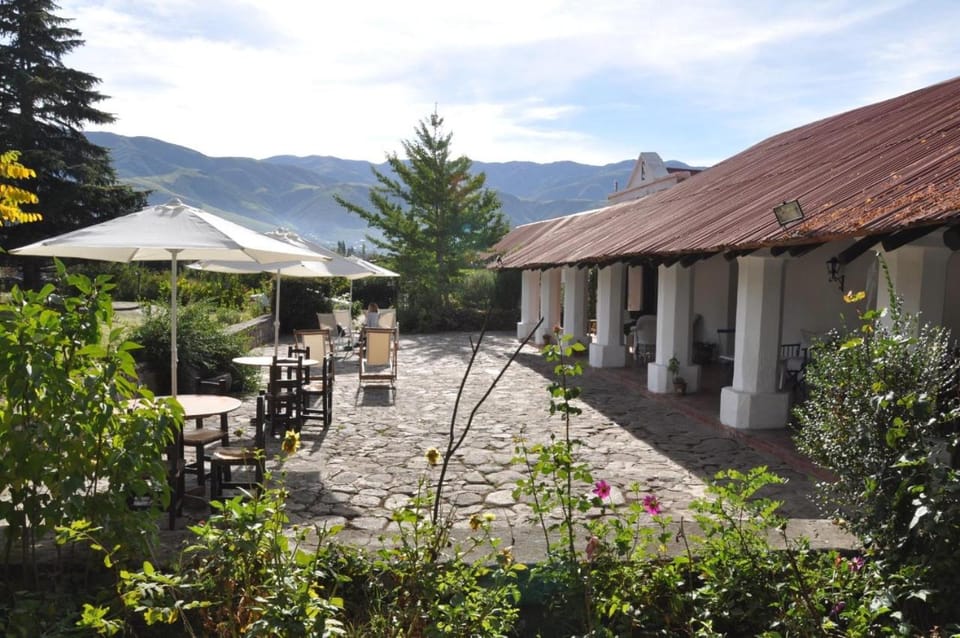 Garden, Mountain view