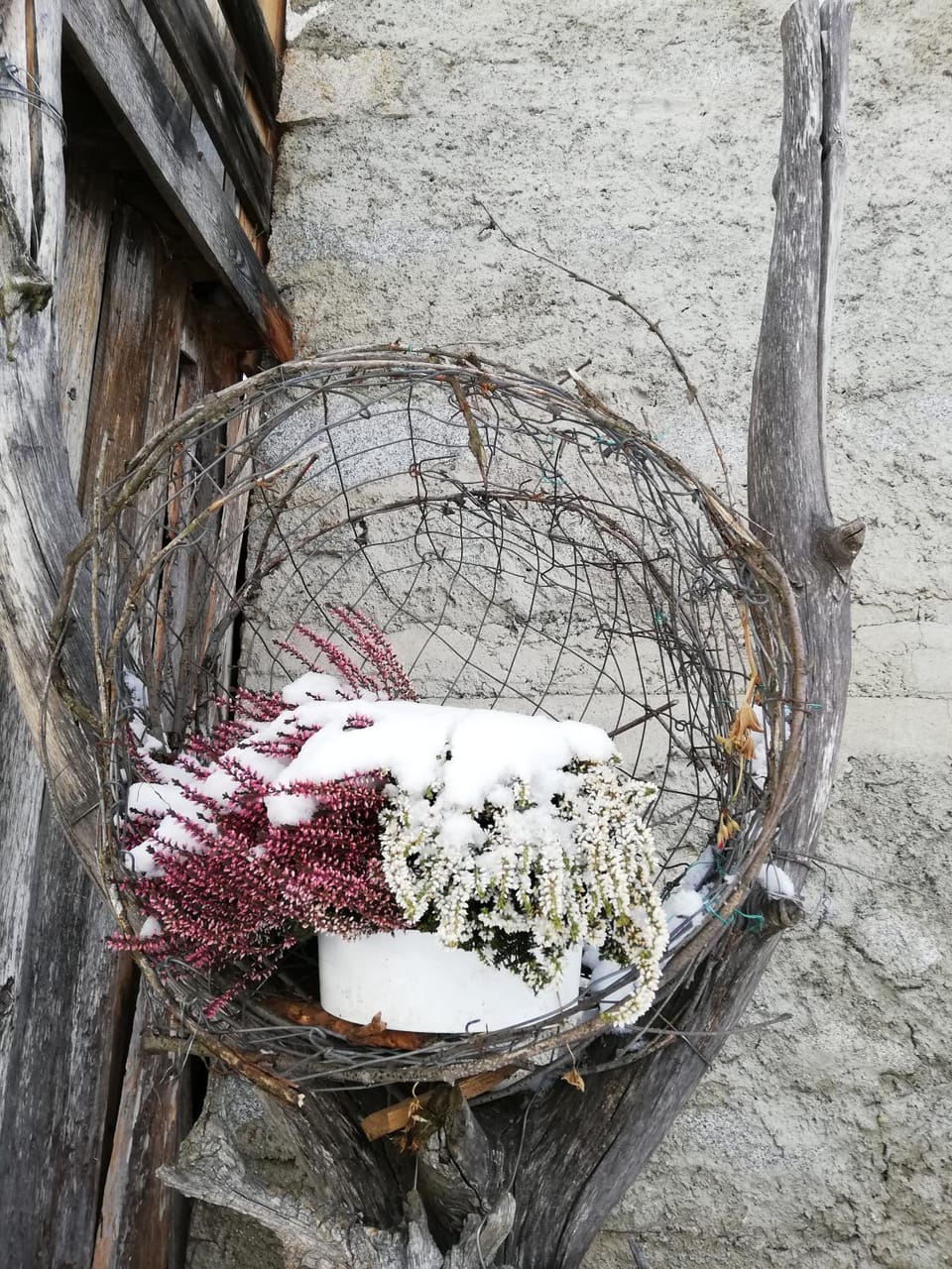 Zimmer - Hinterwalderhof Bed and Breakfast in Trentino-South Tyrol