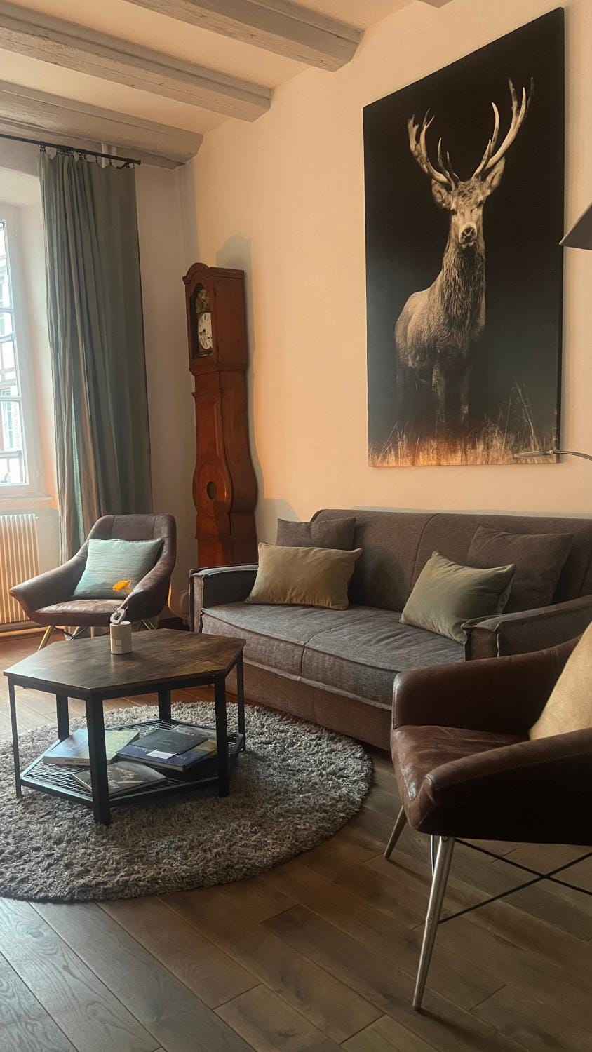 Gite BI UNS chez Silvana Apartment in Colmar