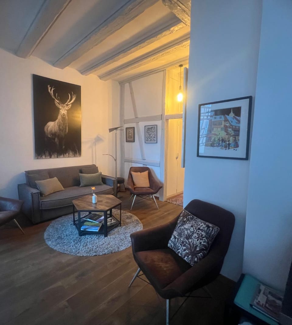 Gite BI UNS chez Silvana Apartment in Colmar