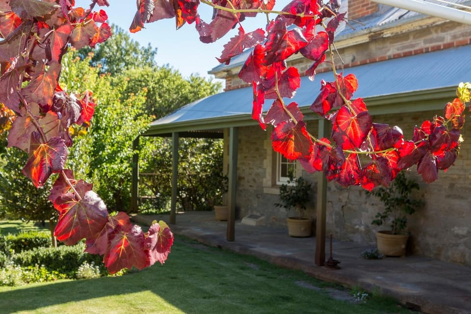 Grand Cru Estate Homestead House in South Australia
