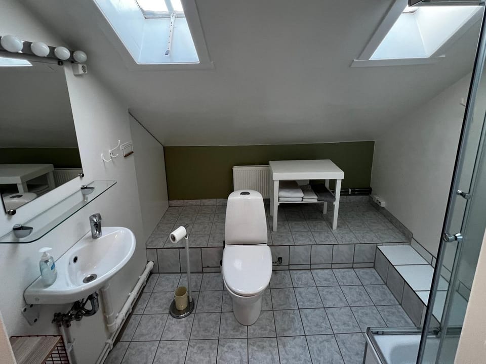 Shower, Toilet, Bathroom