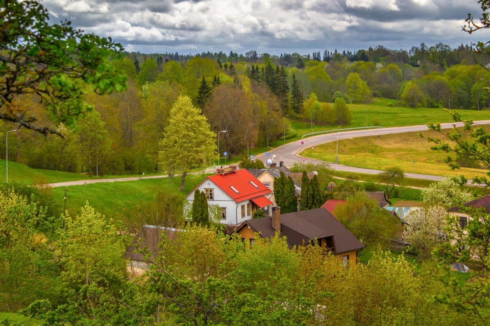 Property building, Spring, Natural landscape, Bird's eye view, Street view
